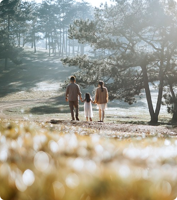 registration background